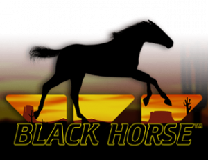 Read more about the article สล็อต แตกง่าย Black Horse
