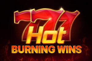 Read more about the article สล็อตคลาสสิกแตกง่าย Hot Burning Wins